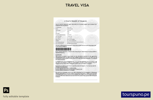 Plantilla de visa electrónica de Singapur lista para imprimir en formatos Word y